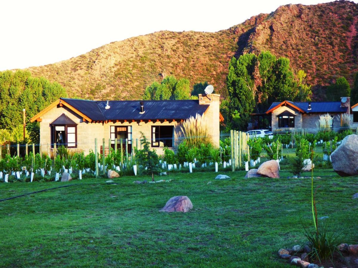 Ayres De Uco Lodge & Wine Lovers Los Arboles Bagian luar foto