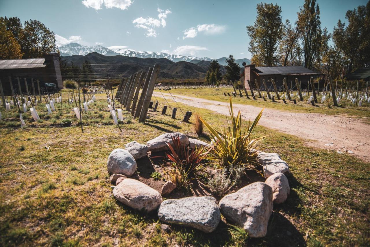 Ayres De Uco Lodge & Wine Lovers Los Arboles Bagian luar foto