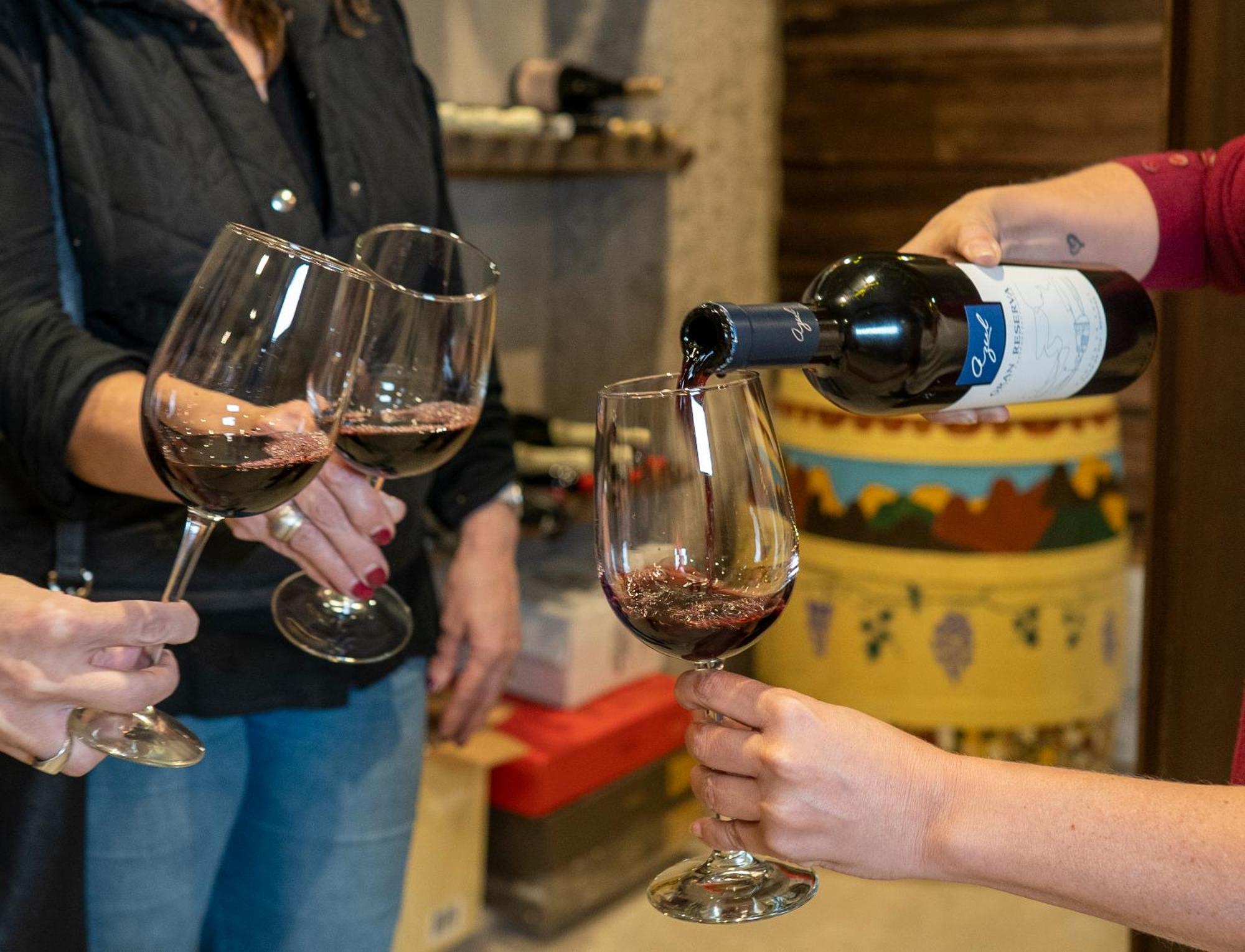 Ayres De Uco Lodge & Wine Lovers Los Arboles Bagian luar foto